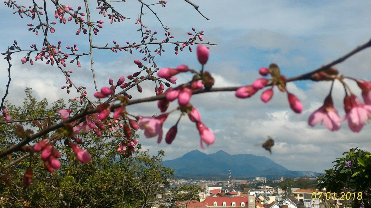 Homstay An Nhien Dalat Exteriér fotografie